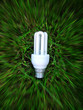 energy saving light bulb