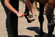 soin des pieds d'un cheval
