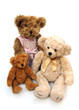 Three bears