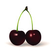 Cerises Kordia