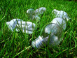 light bulbs