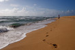 Photo: Tropical Hawaiian beach and rolling surf on the island of Kauai Tropical Hawaiian beach and rolling surf on the island of Kauai
