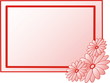 frame with flowers