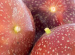 Passion Fruit
