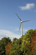 Foto: erneuerbare Energie erneuerbare Energie