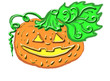 pumkin