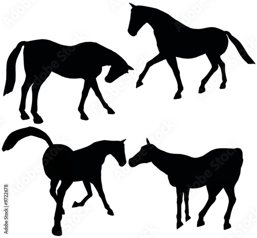 Illustration: Horses 102 Horses 102