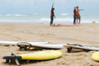 Surf 81