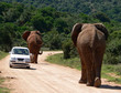 heavy traffic heavy traffic