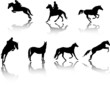 horses silhouettes