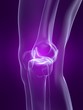 menschliches knie