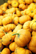 Mini Pumpkins