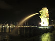 The Merlion by Night
