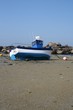 bateau,moteur,bretagne,échoué,échouage, pêche, granit,bouée bateau,moteur,bretagne,échoué,échouage, pêche, granit,bouée