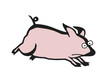 Illustration: Schwein - Sau - Haustier Schwein - Sau - Haustier