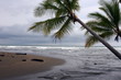tempête