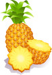 Vector: pineapple pineapple