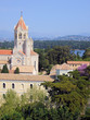 monastera