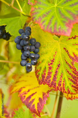 Foto: lecker lecker