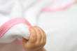 new born baby hand on white background