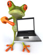 Grenouille avec un ordinateur portable