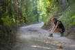 Sporty  woman binds the shoe among a woods trail