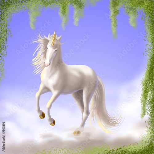Illustration: unicorno unicorno