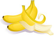 Vector: banana banana