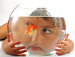 Foto: A little girl looking at goldfish in fishbowl A little girl looking at goldfish in fishbowl