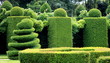 spirale de buis