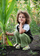 Little girl in corn