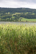 Lac de Joux Lac de Joux