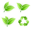 Feuilles et logo recyclage