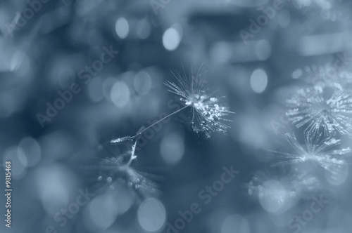 Photo: Winter holiday Winter holiday