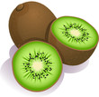 Vector: kiwi kiwi