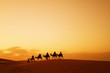 Quadro Caravan in Sahara desert