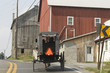Horsedrawn carriage with two Amish men with hats inside