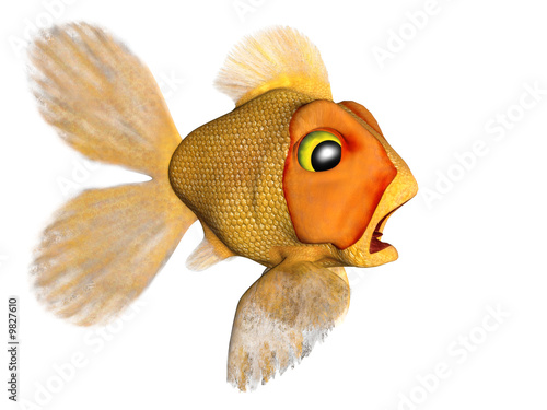 goldfish cartoon pictures. A cartoon goldfish looking