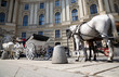 Horse with coach wide angle view. Vienna city.