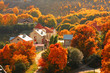 Houses among the autumnal trees. Sun weather.