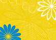 Spring Wedding Horizontal Landscape Background
