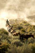 Single cowboy guiding a line of horses through the desert