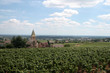 campagne dijonnaise