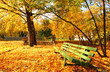 Empty green bench in the autumnal park.