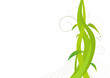 Entwined Vector