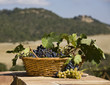 baskets of grapes