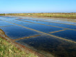 marais salant marais salant
