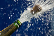 Knallender Korken einer geöffnete Champagner Flasche