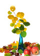 Autumn still life isolated on white background Autumn still life isolated on white background