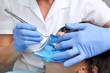 Photo: close up with hands in blue gloves and dental tools close up with hands in blue gloves and dental tools